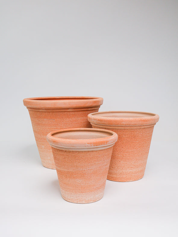 Etrusco - 3/set